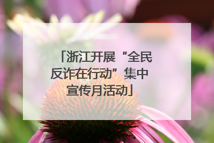浙江开展“全民反诈在行动”集中宣传月活动